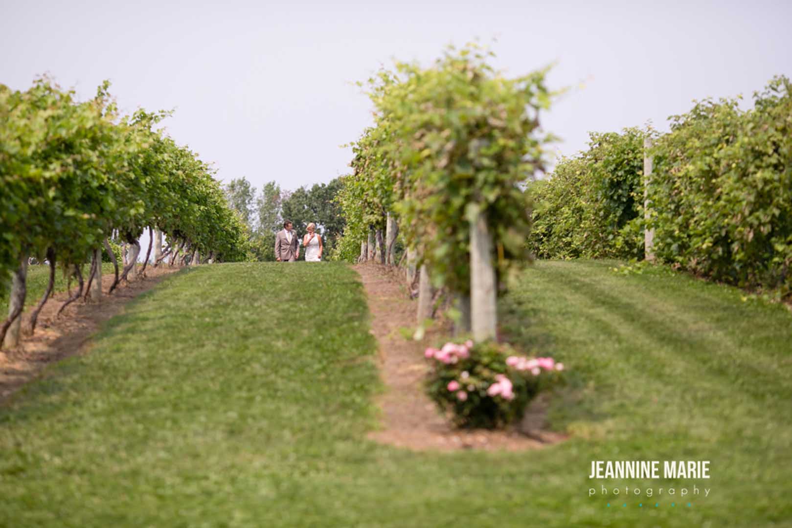 Couple walking through the grape vines at Cannon River Winery's vineyard