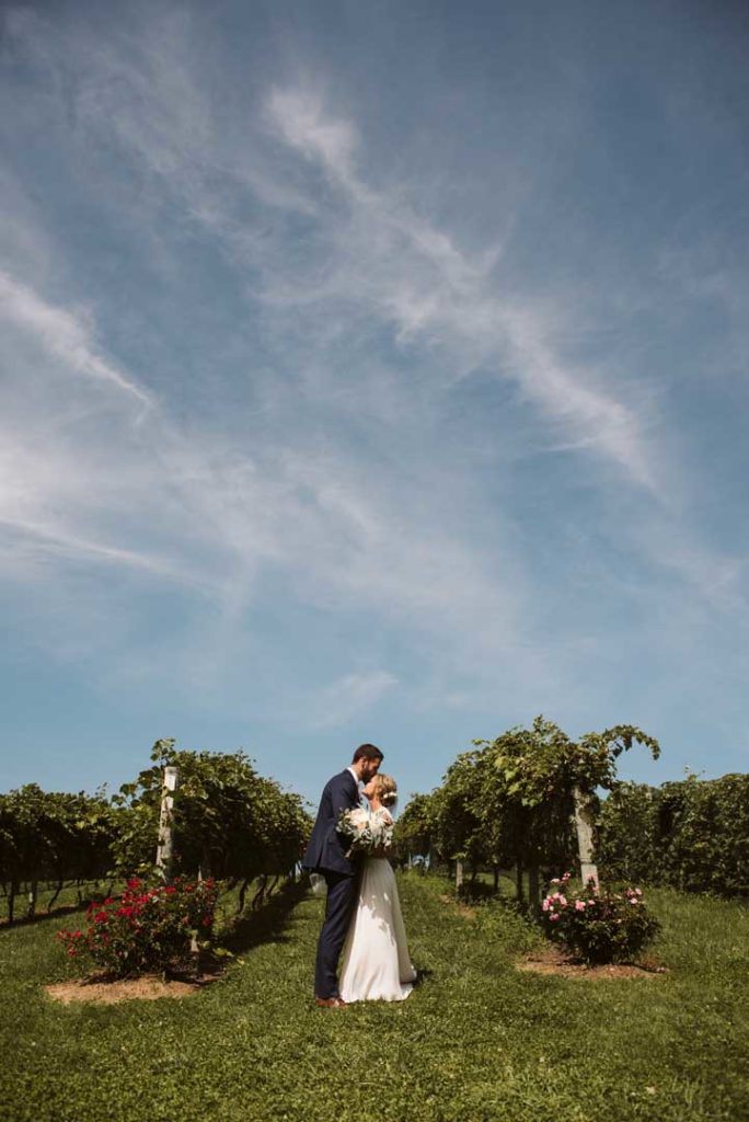 Couple embracing in the rows of grape vines at a minnesota wedding vineyard