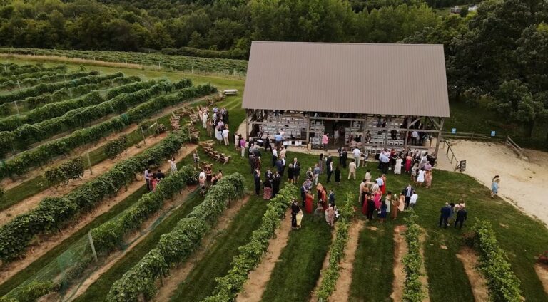 Drone Vineyard wineopour